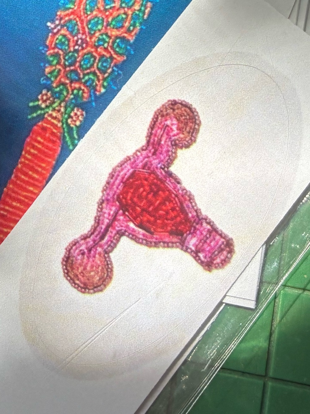 Feminine Energy Uterus Sticker Embroidery Print Seed Beaded Tooth Art Patch
